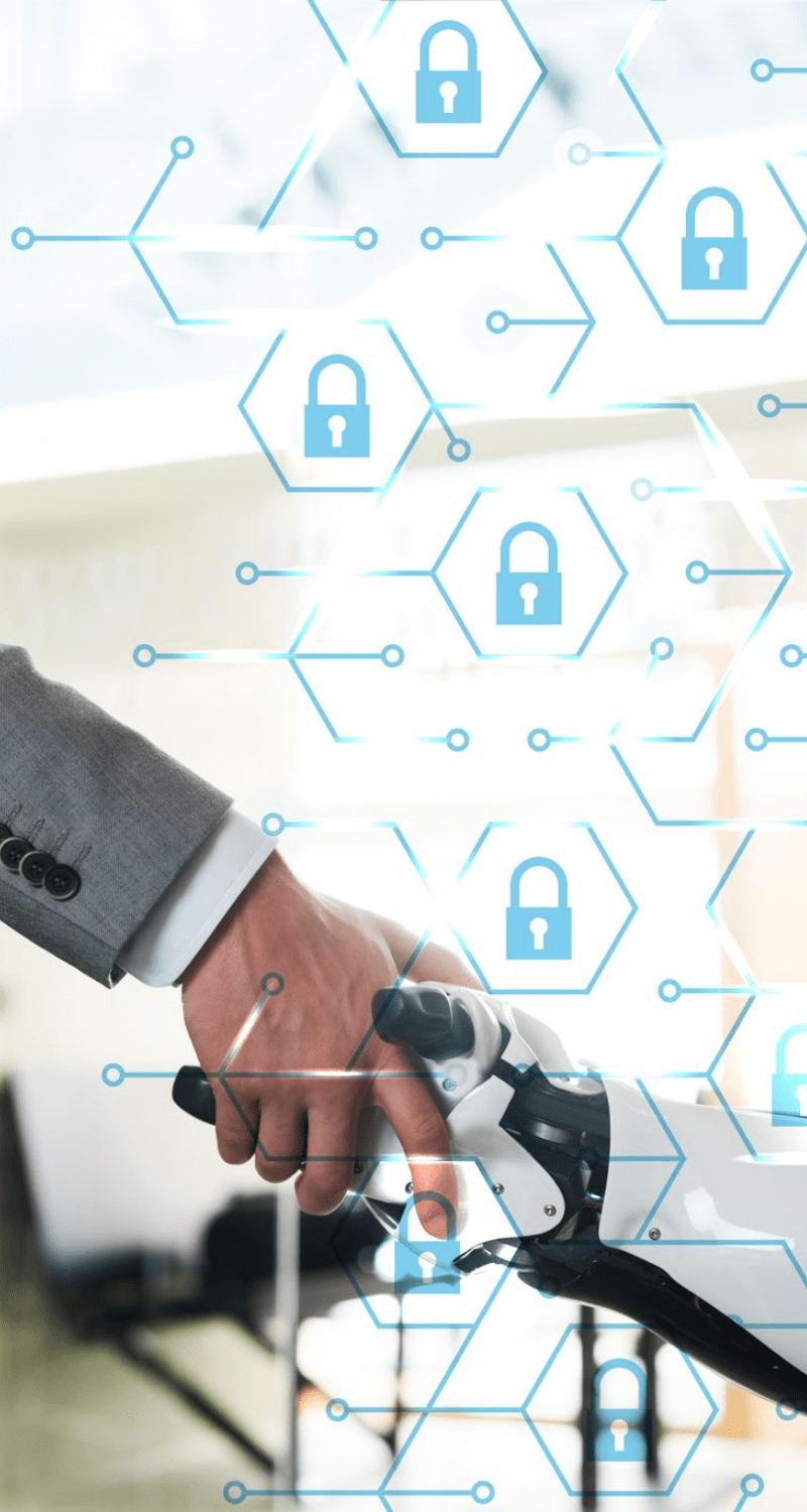 website optimization service providers