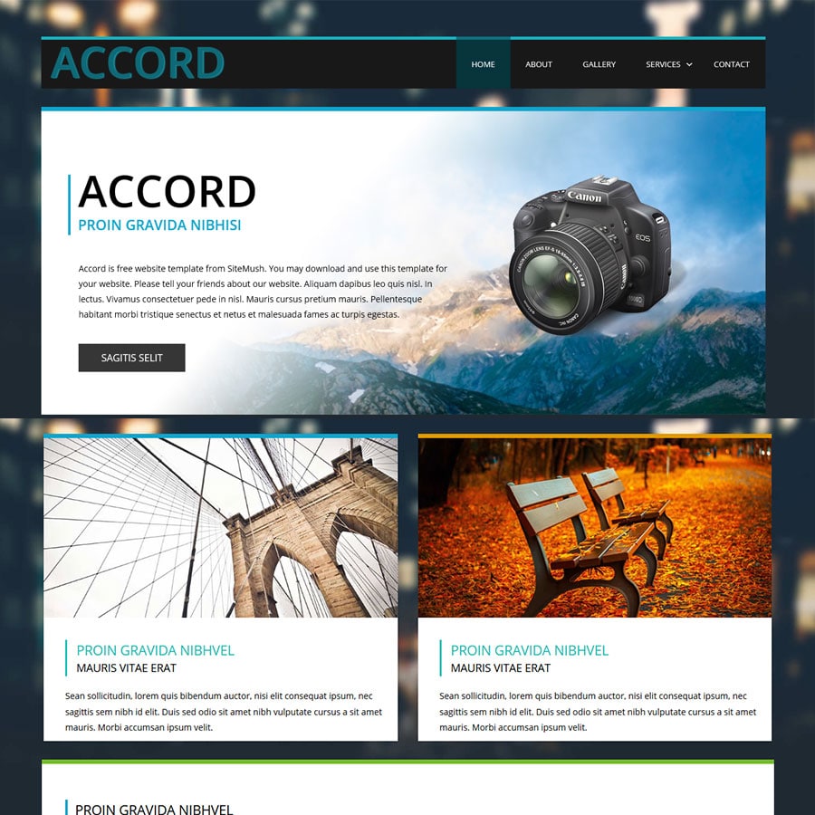 Portfolio Item