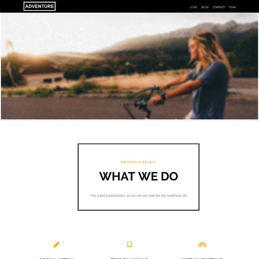 Portfolio Item