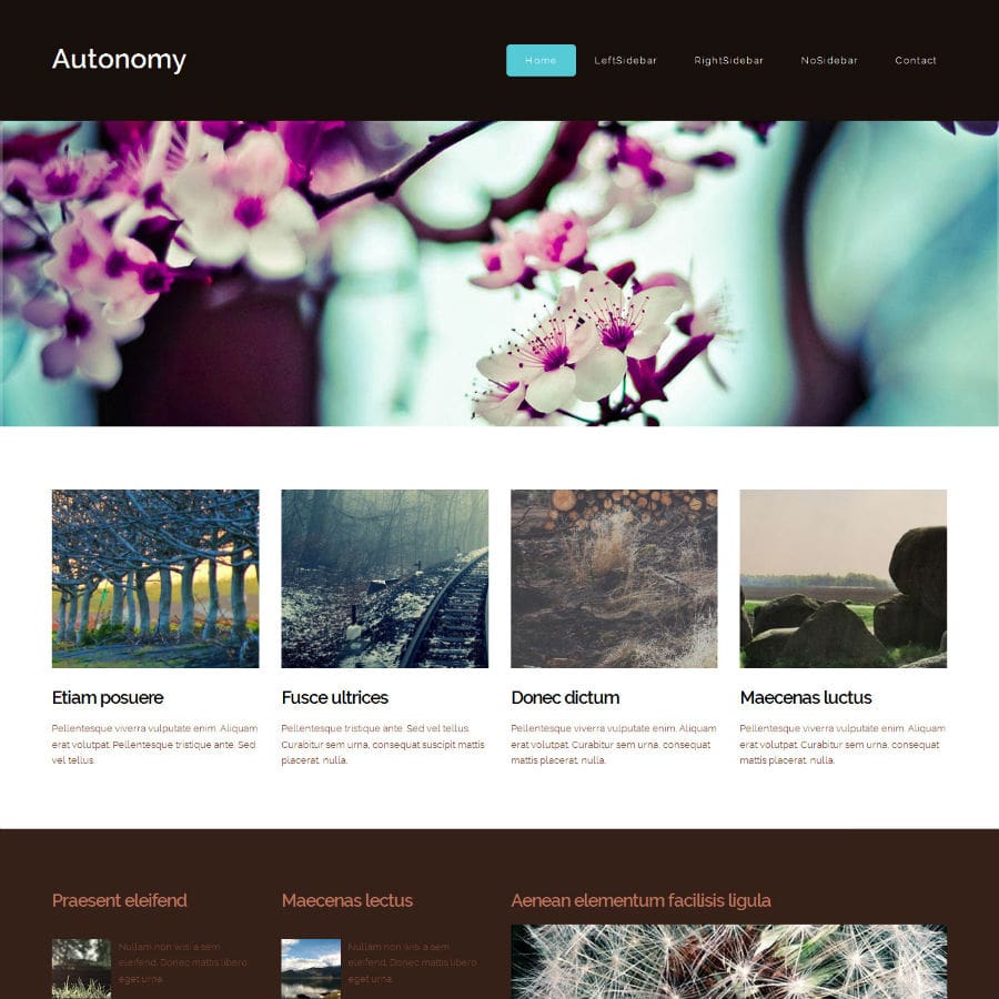 Portfolio Item