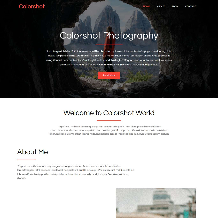 Portfolio Item