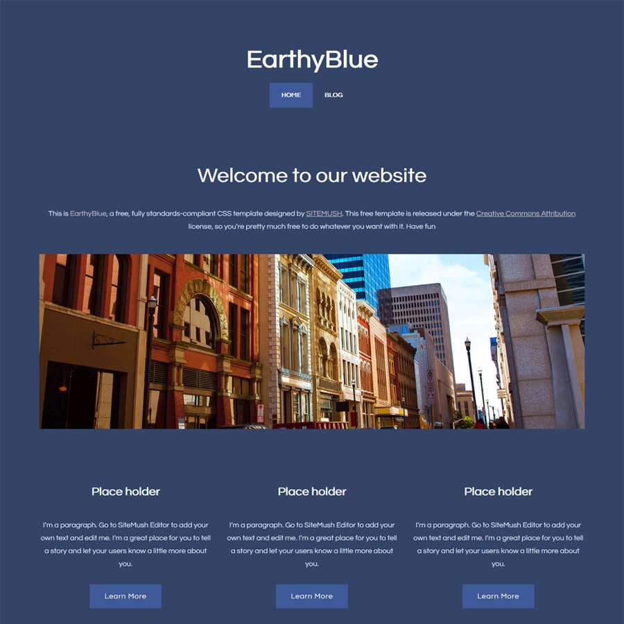 Portfolio Item