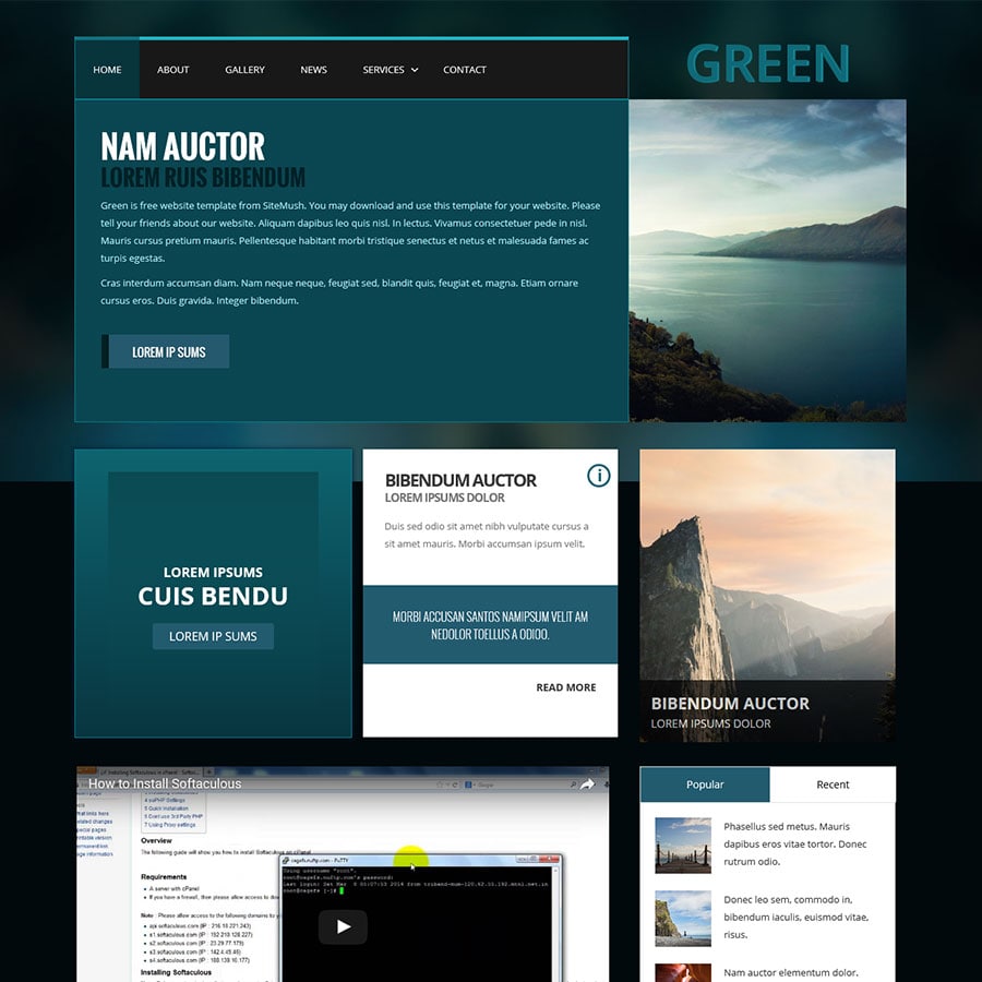 Portfolio Item
