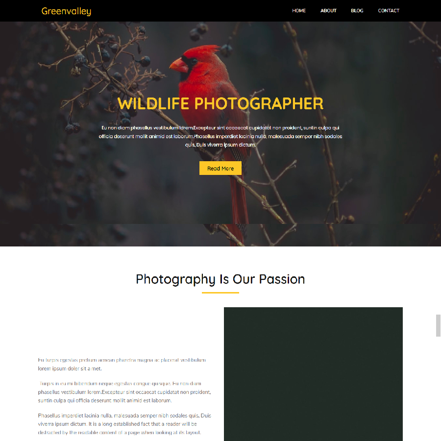 Portfolio Item