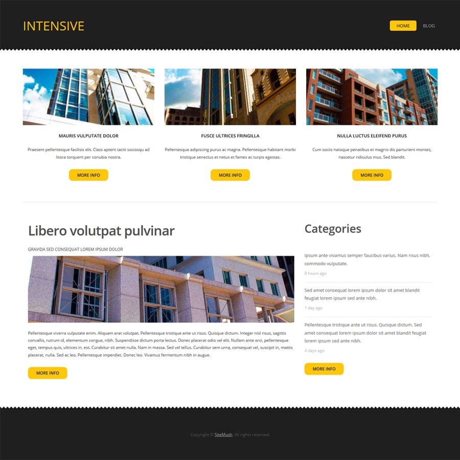 Portfolio Item