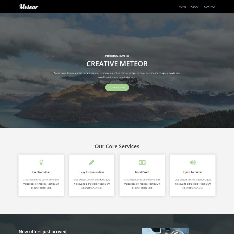 Portfolio Item