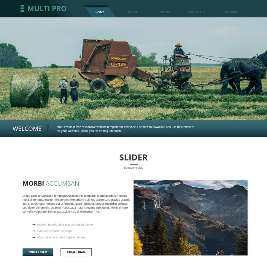 Portfolio Item