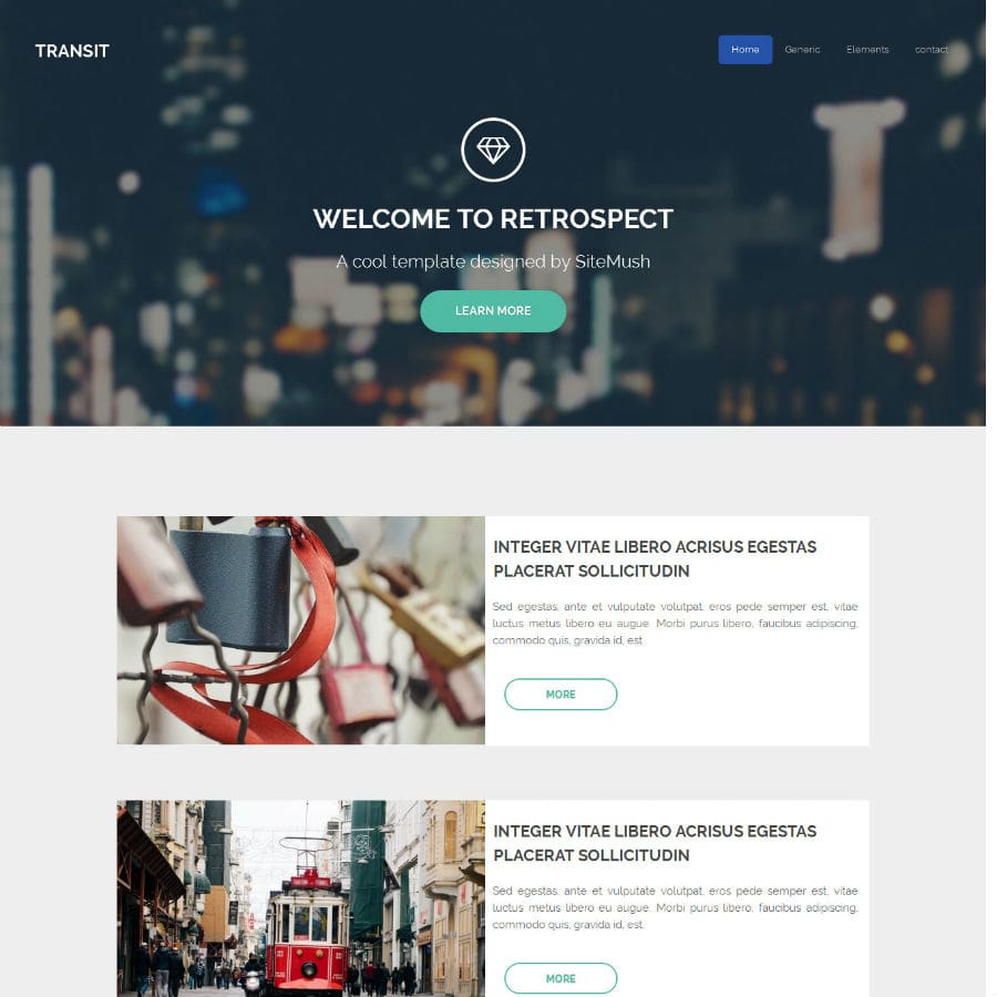 Portfolio Item