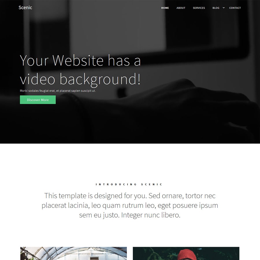 Portfolio Item