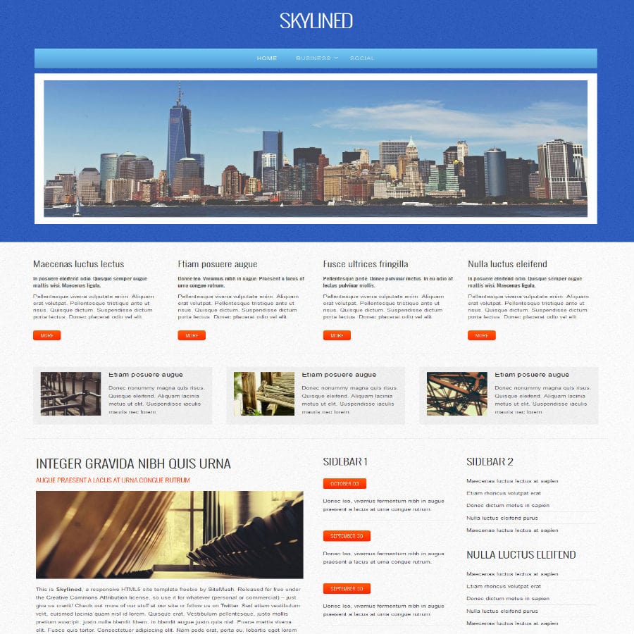 Portfolio Item