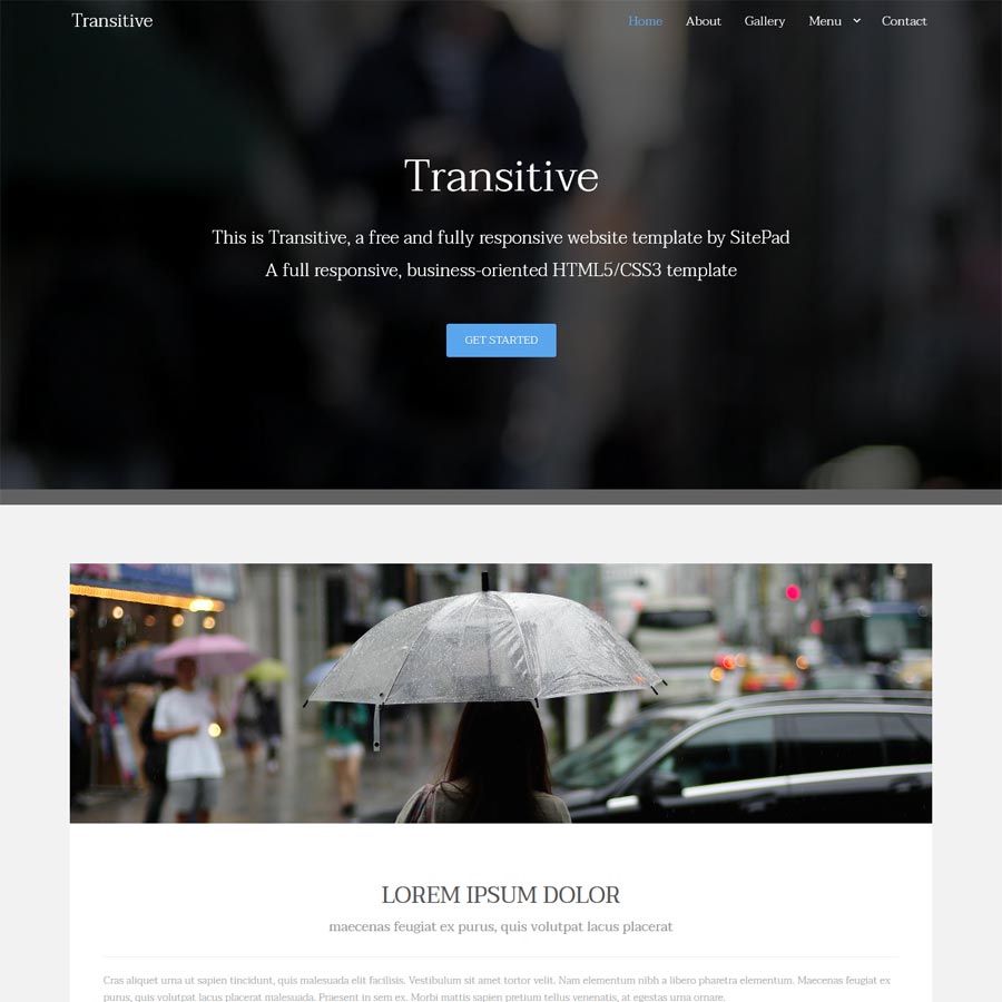 Portfolio Item