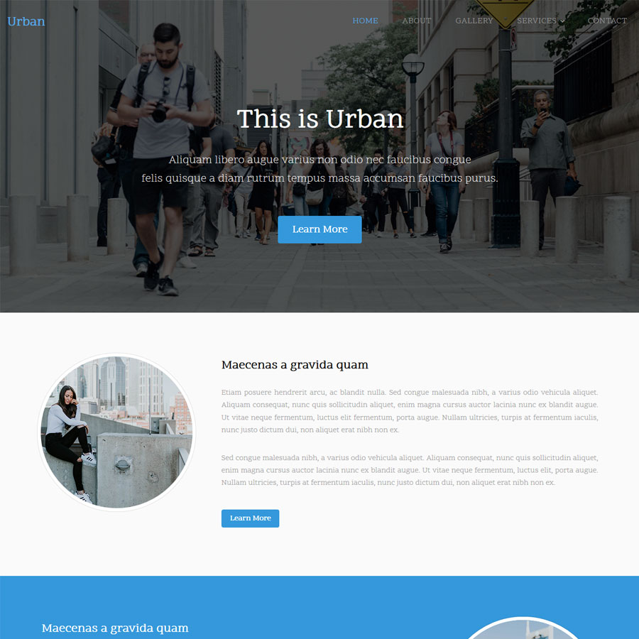 Portfolio Item